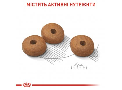 Фото 2 -  сухой корм Royal Canin MINI LIGHT WEIGHT CARE корм для собак мелких пород малоактивных и склонных к ожирению (до 10 кг)