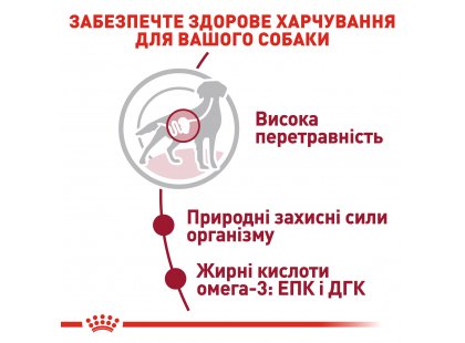 Фото 6 -  вологий корм (консерви) Royal Canin MEDIUM ADULT вологий корм для дорослих собак середніх порід від 2 до 12 місяців