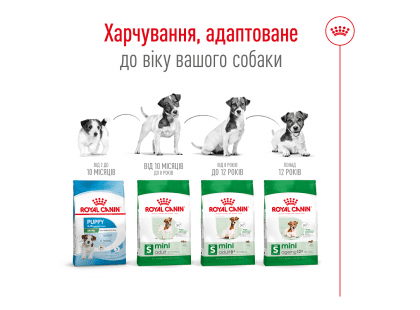 Фото 5 -  сухой корм Royal Canin MINI ADULT (СОБАКИ МЕЛКИХ ПОРОД ЭДАЛТ) корм для собак от 10 месяцев