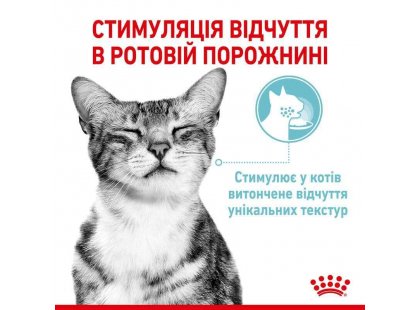 Фото - вологий корм (консерви) Royal Canin SENSORY FEEL JELLY консерви для вибагливих кішок