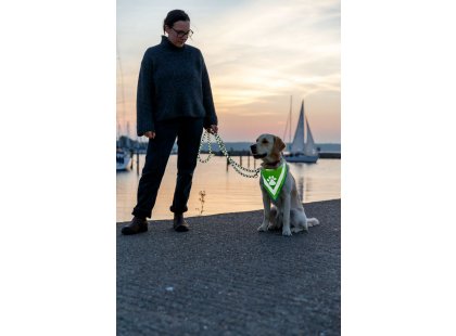 Фото 3 -  одежда Trixie Светоотражающая бандана для собак