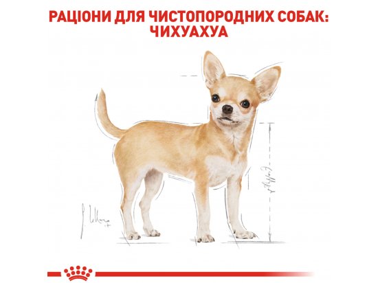 Фото - сухий корм Royal Canin CHIHUAHUA ADULT (ЧИХУАХУА ЕДАЛТ) корм для собак від 8 місяців