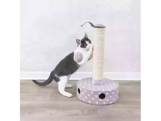 Фото - когтеточки, с домиками Trixie Junior Scratching Post когтеточка с шариком для котят, сиреневый (42930)