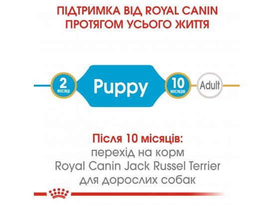 Фото - сухой корм Royal Canin JACK RUSSELL PUPPY (ДЖЕК РАССЕЛ ПАППИ) корм для щенков до 10 месяцев