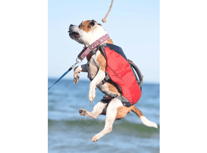 Фото 2 -  рятувальні жилети Fovis Voyager Pet Dog Bagpack рятувальний жилет для собак