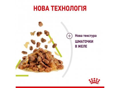 Фото - влажный корм (консервы) Royal Canin SENSORY SMELL JELLY консервы для кошек привередливых к аромату