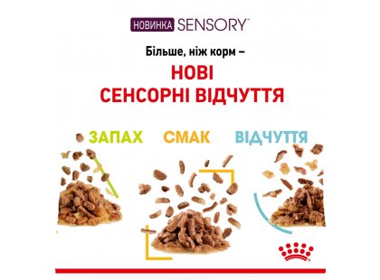 Фото 4 -  влажный корм (консервы) Royal Canin SENSORY TASTE GRAVY консервы для кошек привередливых ко вкусу