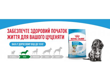 Фото 9 -  сухой корм Royal Canin MINI STARTER MOTHER & BABYDOG корм для беременных и кормящих сук и щенков мини-пород
