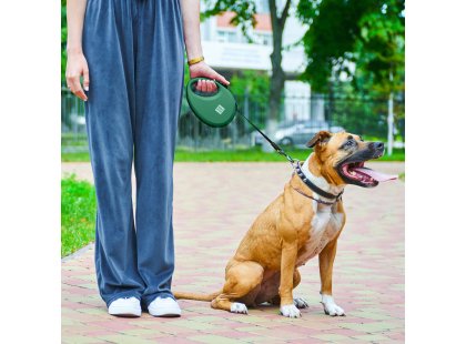 Фото 4 -  рулетки WAUDOG R-leash поводок рулетка с контейнером для пакетов, светоотражающая лента, зеленый