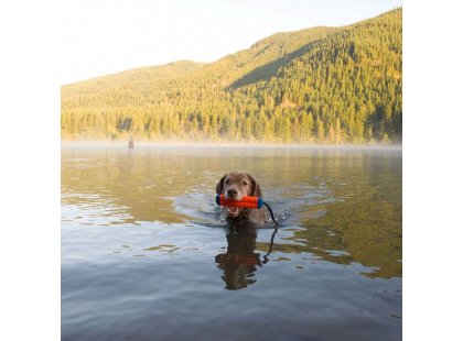 Фото 4 -  игрушки CHUCKIT Amphibious Bumper игрушка для собак АПОРТ НА РЕМНЕ