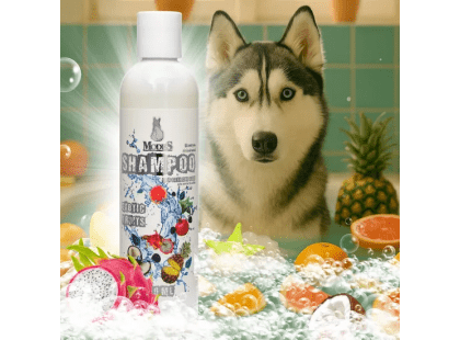 Фото 2 -  щоденний догляд (шампуні, кондиціонери та інші засоби) Modes Shampoo Exzotic Fruits шампунь для котів і собак АРОМАТ ЕКЗОТИЧНИХ ФРУКТІВ