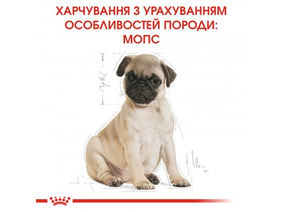 Фото - сухой корм Royal Canin PUG PUPPY (МОПС ПАППИ) корм для щенков до 10 месяцев