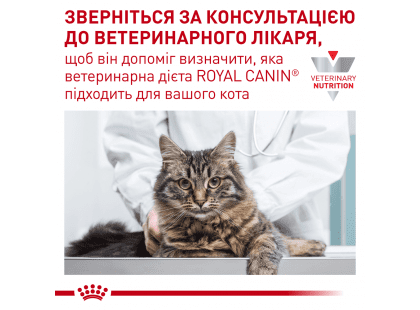 Фото 8 -  ветеринарні корми Royal Canin DIABETIC DS46 (ДІАБЕТИК) сухий лікувальний корм для котів від 1 року