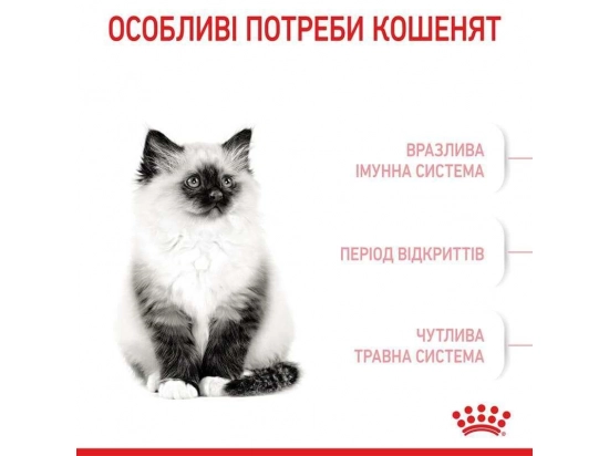 Фото - сухий корм Royal Canin KITTEN (КІТТЕН) корм для кошенят до 12 місяців