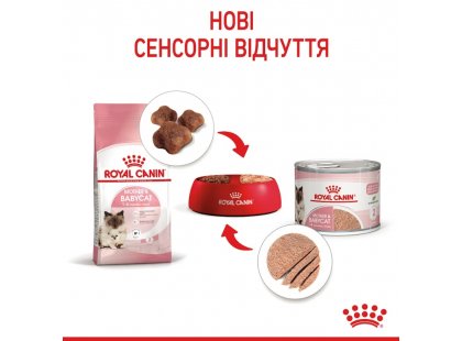 Фото 8 -  влажный корм (консервы) Royal Canin MOTHER & BABYCAT (БЕБИКЕТ ИНСТИНКТИВ) Влажный корм для котят с рождения до 4 месяцев