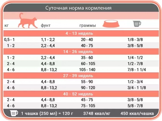 Фото - сухой корм 1st Choice (Фест Чойс) KITTEN OPTIMAL GROWTH корм для котят с чувствительным пищеварением