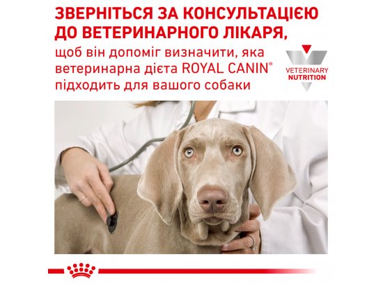 Фото - ветеринарні корми Royal Canin ANALLERGENIC (АНАЛЕРДЖЕНИК) сухий лікувальний корм для собак