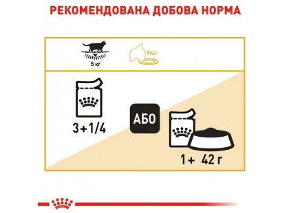 Фото 6 -  влажный корм (консервы) Royal Canin BRITISH SHORTHAIR ADULT влажный корм для кошек породы британская короткошерстная