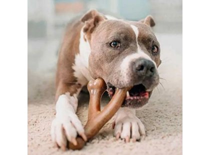 Фото 3 -  іграшки Benebone Wishbone Bacon жувальна іграшка для собак ВИЛОЧКОВА КІСТКА, смак БЕКОНУ