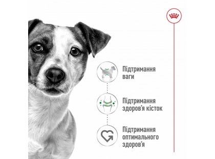 Фото 4 -  вологий корм (консерви) Royal Canin MINI ADULT вологий корм для дорослих собак дрібних порід від 10 місяців до 12 років