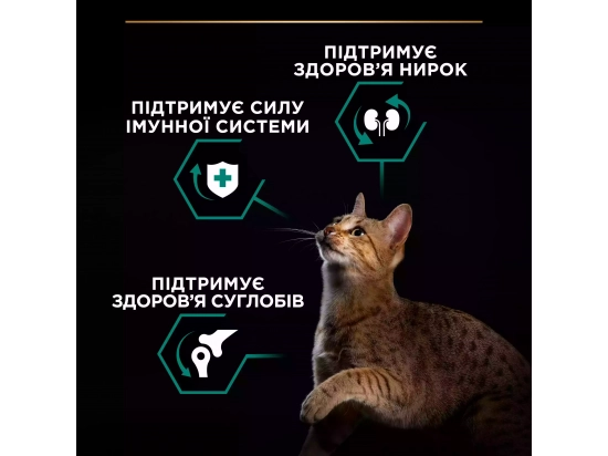 Фото - сухий корм Purina Pro Plan (Пуріна Про План) Adult Renal Plus Chicken сухий корм для кішок КУРКА