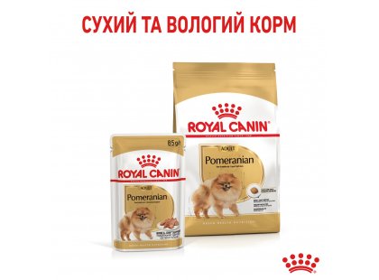 Фото - сухий корм Royal Canin POMERANIAN ADULT (ПОМЕРАНСЬКИЙ ШПІЦ) корм для собак від 8 місяців