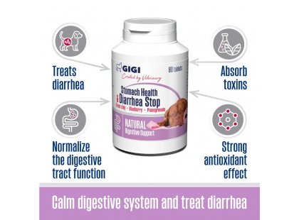 Фото 3 -  для желудочно-кишечного тракта (ЖКТ) Gigi (Гиги) Stomach Health & Diarrhea Stop таблетки для нормализации работы кишечника, адсорбент с противодиарейным свойством