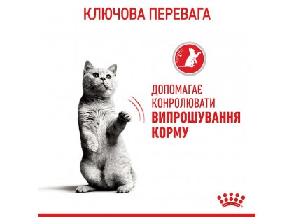 Фото 6 -  сухий корм Royal Canin APPETITE CONTROL (АПЕТИТ КОНТРОЛЬ) корм для стерилізованих кішок від 1 до 7 років