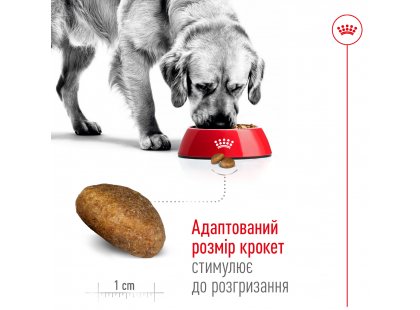 Фото 4 -  сухий корм Royal Canin MAXI ADULT (СОБАКИ ВЕЛИКИХ ПОРІД ЕДАЛТ) корм для собак до 5 років