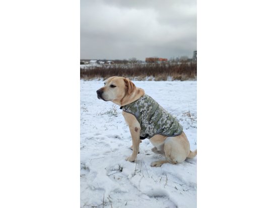 Фото - одяг Collar WAUDOG куртка-накидка для собак МІЛІТАРІ