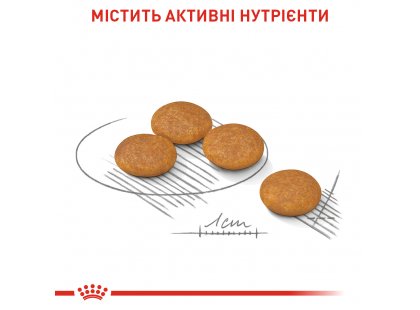 Фото 2 -  сухий корм Royal Canin MINI DERMACOMFORT корм для собак із чутливою шкірою (до 10 кг)
