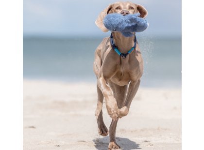 Фото 4 -  игрушки Trixie BE NORDIC КИТ BRUNOLD игрушка для собак (36040)