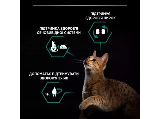 Фото - сухой корм Purina Pro Plan (Пурина Про План) Renal Plus Sterilised Adult Turkey cухой корм для стерилизованных кошек ИНДЕЙКА