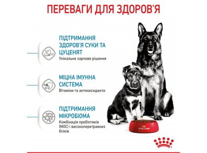 Фото - сухой корм Royal Canin MAXI STARTER MOTHER & BABYDOG корм для беременных и кормящих сук и щенков крупных-пород