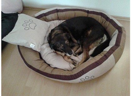 Фото 2 -  лежаки, матрасы, коврики и домики Trixie BONZO BED Спальное место для собак БЕЖ/КОРИЧНЕВЫЙ