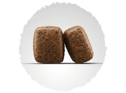 Фото 2 -  сухий корм Josera Medium & Maxi (Nature Energetic) сухий беззерновий корм для активних собак середніх і великих порід КУРКА і БАТАТ