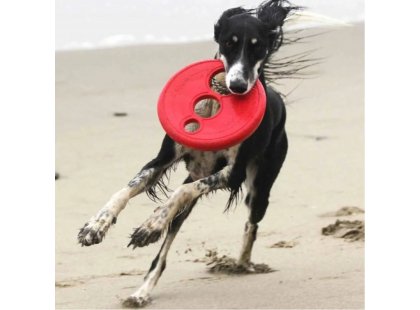 Фото 2 -  игрушки Kong Rogz RFO игрушка для собак ЛЕТАЮЩИЙ ДИСК, красный