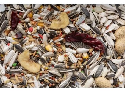 Фото 2 -  корм для птиц Перлина Степу Large Mix зерновая смесь корм больших попугаев