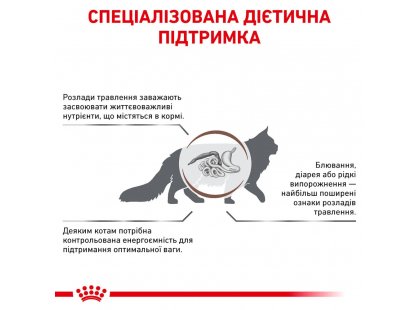 Фото - ветеринарные корма Royal Canin GASTRO INTESTINAL MODERATE CALORIE (ГАСТРО ИНТЕСТИНАЛ УМЕРЕННАЯ КАЛОРИЙНОСТЬ) сухой лечебный корм для кошек