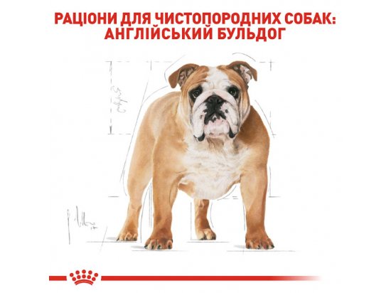 Фото - сухой корм Royal Canin BULLDOG ADULT (АНГЛИЙСКИЙ БУЛЬДОГ ЭДАЛТ) корм для собак от 12 месяцев