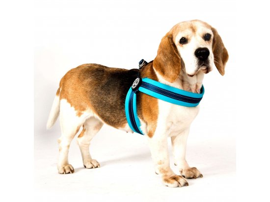 Фото 6 -  амуніція Max & Molly Urban Pets Q-Fit Harness шлея для собаки Matrix Sky Blue