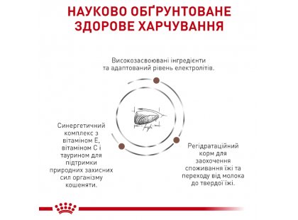 Фото 3 -  ветеринарні корми Royal Canin GASTROINTESTINAL KITTEN ветеринарна дієта для кошенят від 2 до 10 місяців при порушеннях травлення