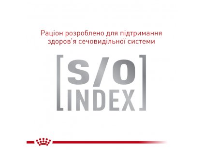 Фото 4 -  ветеринарные корма Royal Canin GASTROINTESTINAL GI32 (ГАСТРО ИНТЕСТИНАЛ) сухой лечебный корм для кошек от 1 года