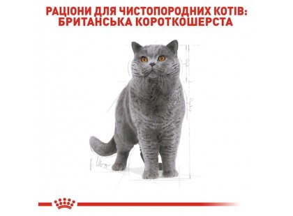 Фото - вологий корм (консерви) Royal Canin BRITISH SHORTHAIR ADULT вологий корм для котів породи британська короткошерста