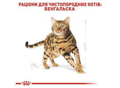 Фото - сухой корм Royal Canin BENGAL ADULT (БЕНГАЛ ЭДАЛТ) корм для котов от 1 года