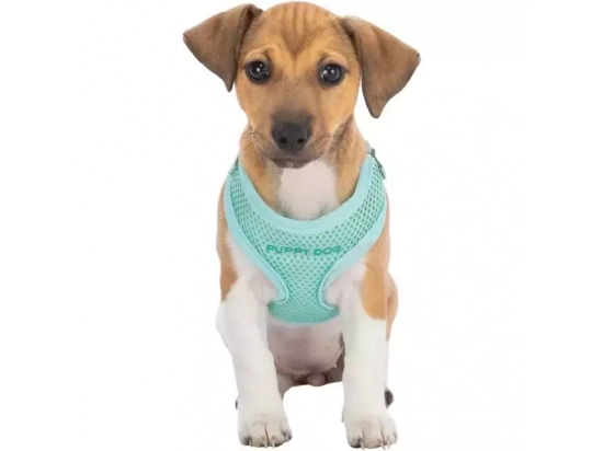 Фото 6 -  амуніція Trixie Junior Puppy Soft Harness with Lead шлейка з повідцем для цуценят, м'ятний