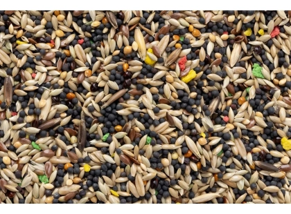 Фото 3 -  корм для птахів Перлина Степу Canary Mix зернова суміш корм для канарок