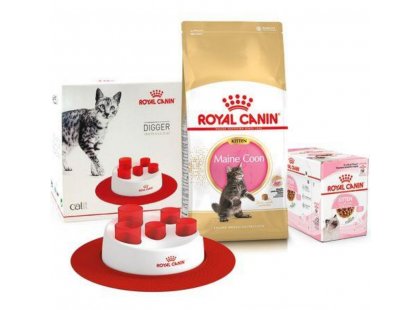 Фото - Royal Canin KITTEN MAINE COON (МЕЙН КУН КІТТЕН) корм для кошенят сухий корм Royal Canin KITTEN MAINE COON (МЕЙН КУН КІТТЕН) корм для кошенят