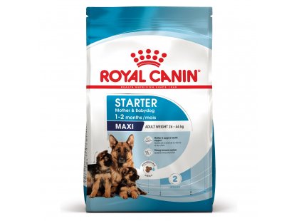 Фото - сухий корм Royal Canin MAXI STARTER MOTHER & BABYDOG корм для вагітних і годуючих сук і цуценят великих-порід