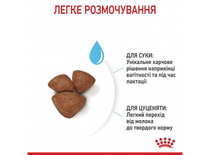 Фото 13 -  сухой корм Royal Canin MINI STARTER MOTHER & BABYDOG корм для беременных и кормящих сук и щенков мини-пород
